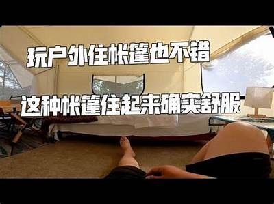 免费体验成人旅行推车的乐趣