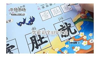 免费识字软件推荐：适合成人学习的优质实践