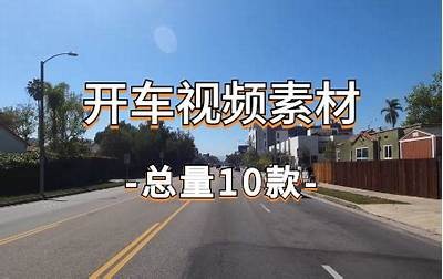 成人免费开车视频大全