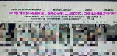成人AV无码高清在线观看