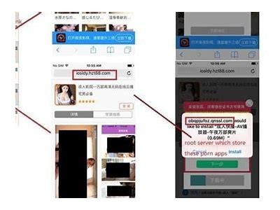 免费成人网站播放器推荐